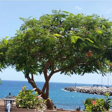 810 - Edif Aguamarina - Vacation In The Coast Line Of Golf Del Sur *